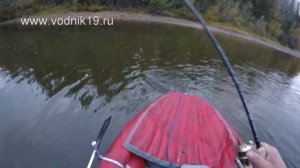 Атака ТАЙМЕНЯ НА МЫША днем! Видео рыбалки на трофейного тайменя в реальном времени