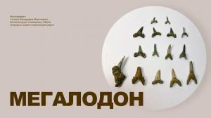 Мегалодон