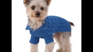 одежда для собак ru