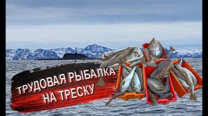 Настоящая морская рыбалка в Баренцевом море. Ловля трески. Отдых и развлечения в Мурманске.