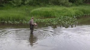 Таежная река.ТЕШ