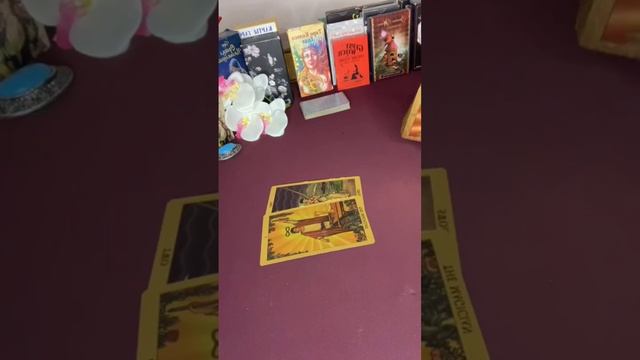 ?#shortsvideo #shorts #short #tarot #таро #прогноз #youtube #tarodreamlove