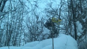 псп пест Корсар компакт 5.5 , с коробки , первый отстрел на природе (видео от подписчика )