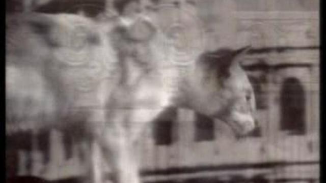 Кошки-Любовь и ненависть смотреть онлайн