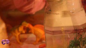 ДЕТСКИЕ ОПЫТЫ.  Эксперименты в домашних условиях ✿ Сomedy Detki