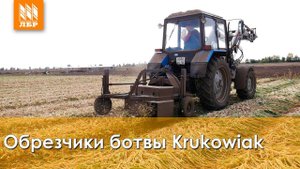 Ботвоудалитель для лука Krukowiak