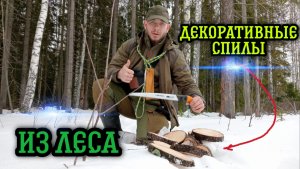 Декоративные спилы из леса