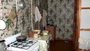 Продаётся дом 48 кв.м в Ермишинском районе | domavsele.ru