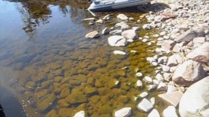 Меркури 15 и меркури 9.9 Отдых под мотором