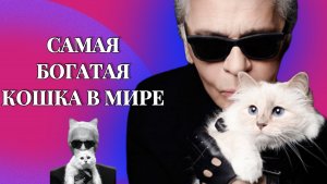 КАРЛ ЛАГЕРФЕЛЬД И ЕГО ШОППЕТ||САМАЯ БОГАТАЯ КОШКА В МИРЕ #котики #лагерфельд #cats