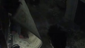 Фильмы ужасов...Последний обряд.дом страха.