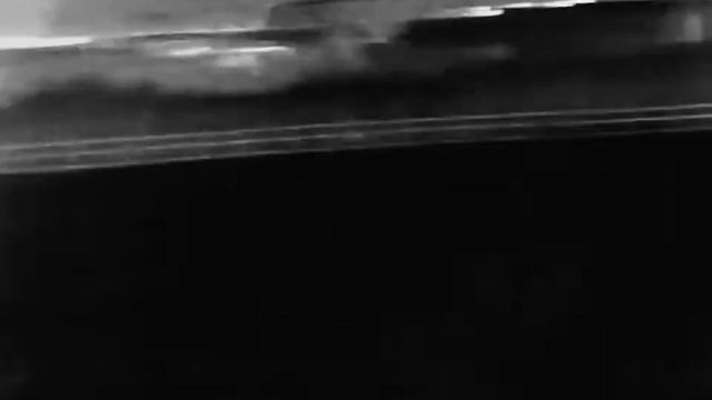 Fox scanning with Infiray spotter e6pro v3 смотреть онлайн