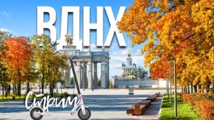 На ВДНХ осень - стрим