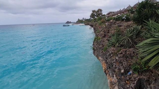 RIU PALACE ZANZIBAR ТАНЗАНИЯ подробный отзыв обзор отеля от блогера Алекс Рантье, 02.02.2021 смотреть онлайн