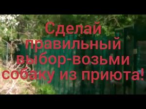 Сделай правильный выбор!