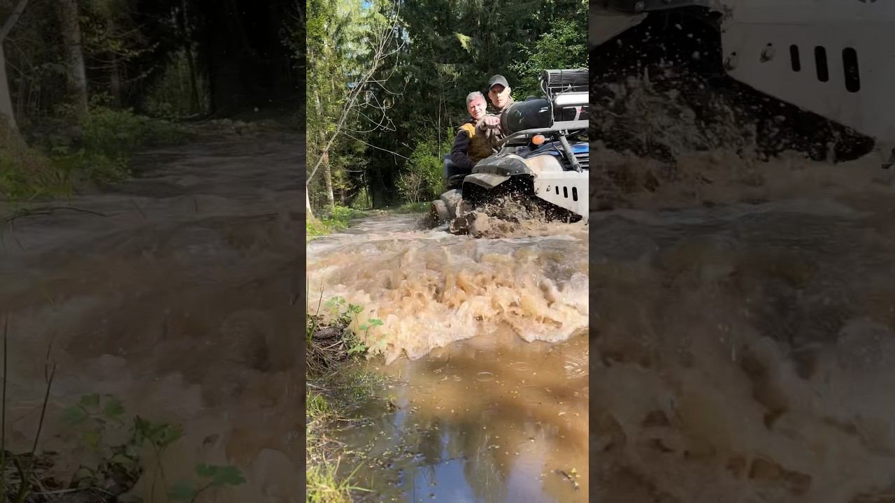 5 мая 2024 г. смотреть онлайн