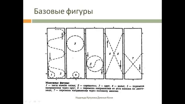 Прямая трансляция Надежды Кутузовой Выездковый манеж