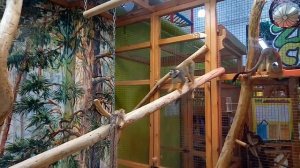 Поездка в Волгоград. ТРЦ "Акварель"