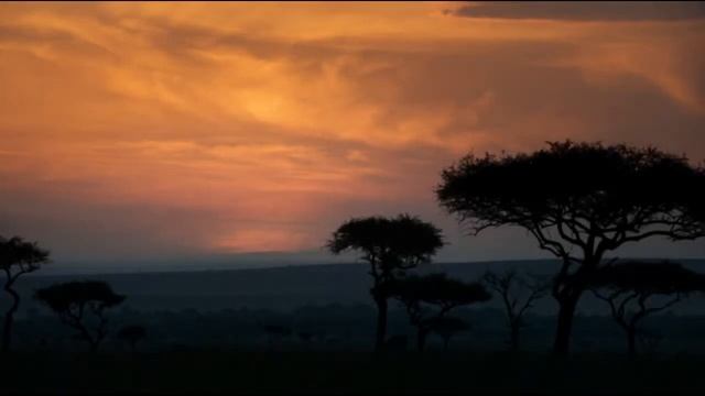 Король Лев 1994 2019 Intro смотреть онлайн