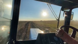 Утро в хозяйстве. Сеем озимую пшеницу!!! Катаем поля на МТЗ 1025