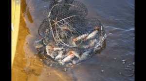 Fishing and hunting (Рыбалка и охота)
