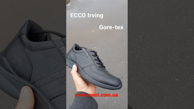 Мужские осенние кроссовки ecco irving 511614-01001