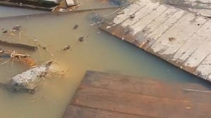 В Ногинском районе Подмосковье из-за потопа появилась своя Венеция