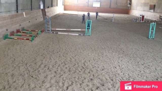 Веселый день на конюшне|Соревнования по конкуру РК|Катаемся на пони