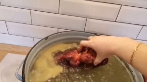 Супер питание для тибетского мастифа