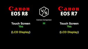 Canon EOS R8 vs Panasonic LUMIX S5 II