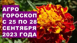 Агрогороскоп с 25 по 28 сентября 2023 года. Agrohoroscope from September 25 to 28, 2023