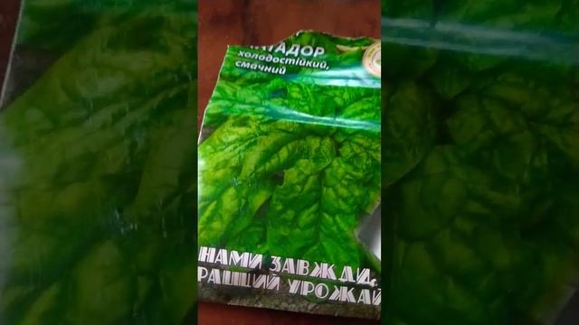 посадила Шпинат, рукколу...? #огород #посадка #весна #шпинат #руккола #shorts смотреть онлайн