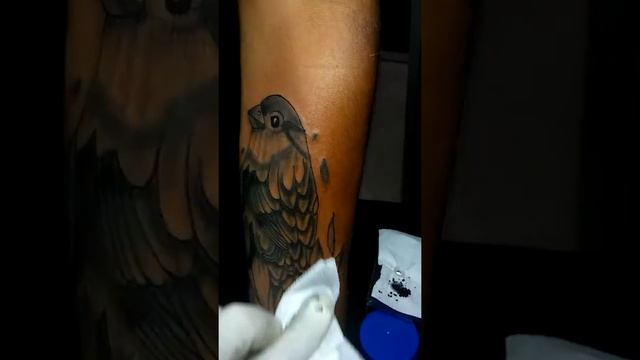 Colibri TATTOO TIME LAPSE | PETER RODRIGUEZ