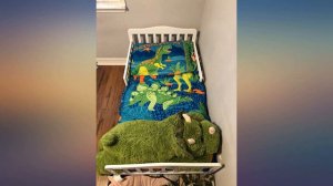 Everything Kids 4 Piece Toddler Bedding Set, Dinosaurs review