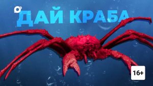 Документальный фильм «Дай краба» на ОТВ