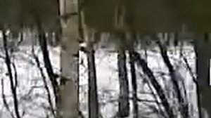 мелодия охоты.3gp