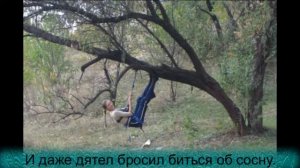 Жаль, ты - туристка, и в этом соль