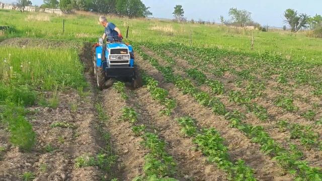 ВТОРОЕ ОКУЧИВАНИЕ КАРТОФЕЛЯ МИНИТРАКТОРОМ смотреть онлайн