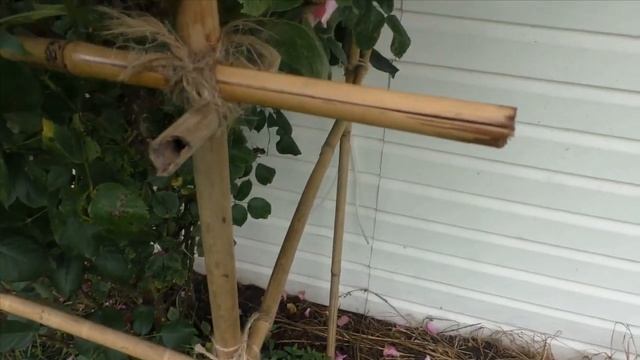 Опора для плетистой розы своими руками - бюджетный вариант! смотреть онлайн