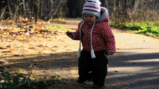 Строим сороке гнездо смотреть онлайн