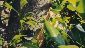 Мне стало нравиться молчать