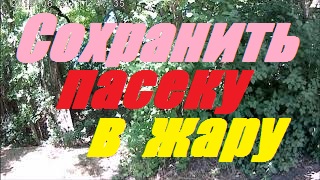 К.У-166.5 кг за сезон.Пасека к зимовке готова.Взяток с подсолнуха окончен.Сохранить сушь от моли. смотреть онлайн