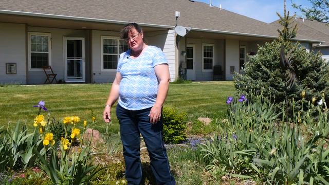 Irises | From the Ground Up смотреть онлайн