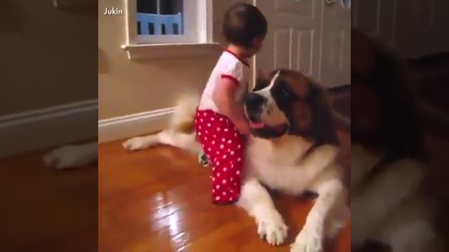 Радные животные ах да а вы напешите в каментариях у вас есть дамашние животные смотреть онлайн