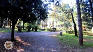 Подгорица, прогулка по центру, где поесть в Подгорице вкусно и недорого.