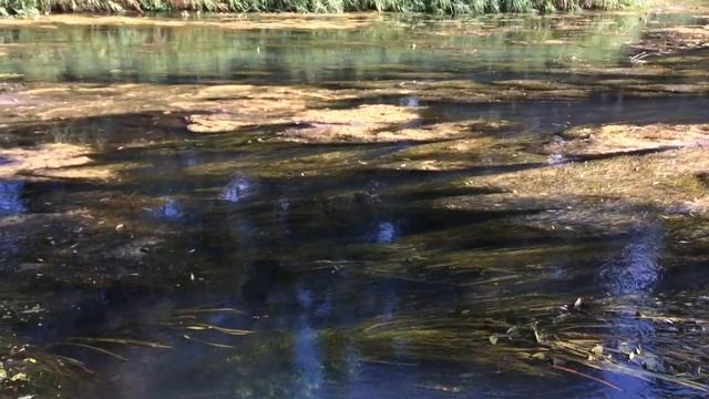 Река Суходрев у деревни Мокрище смотреть онлайн