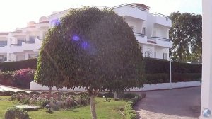 DREAMS VACATION RESORT 5 *: Wonderful Vacation in Egypt