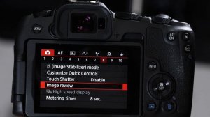 Setup the Canon EOS R8 for Bird Photography: A Deep Dive into the Buttons, Dials, Menu & AF System.