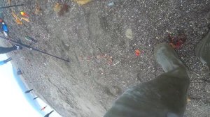 Рыбалка горбуши на поплавок