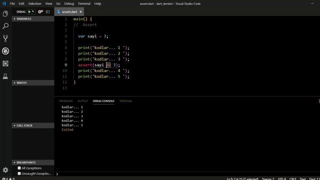 Assert Kullanımı - Dart Programlama Dersleri #22 смотреть онлайн